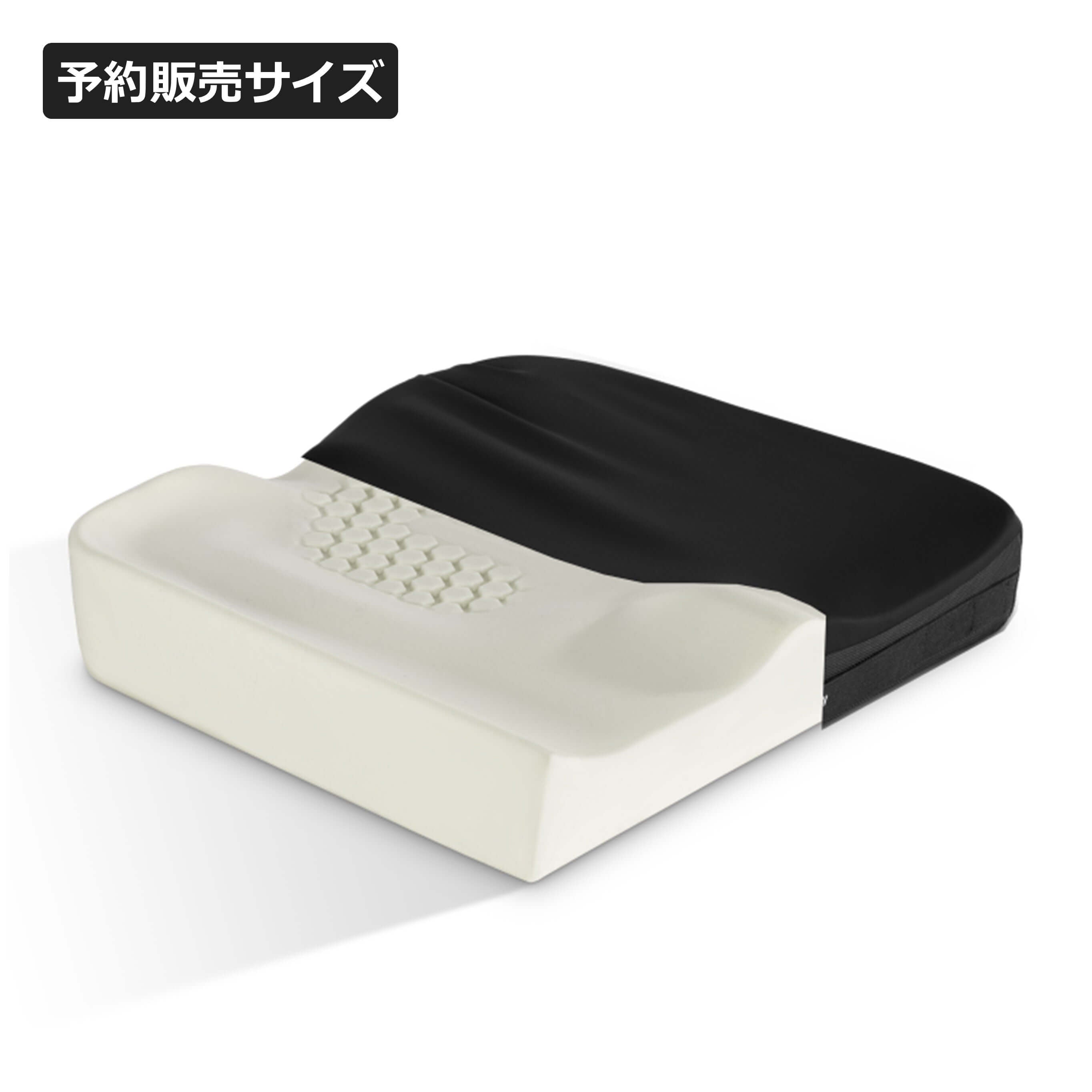 THE HUNDREDS　アダムボムクッション アクシオムP AxiomP｜高密度ウレタンで姿勢保持を強化するベーシック