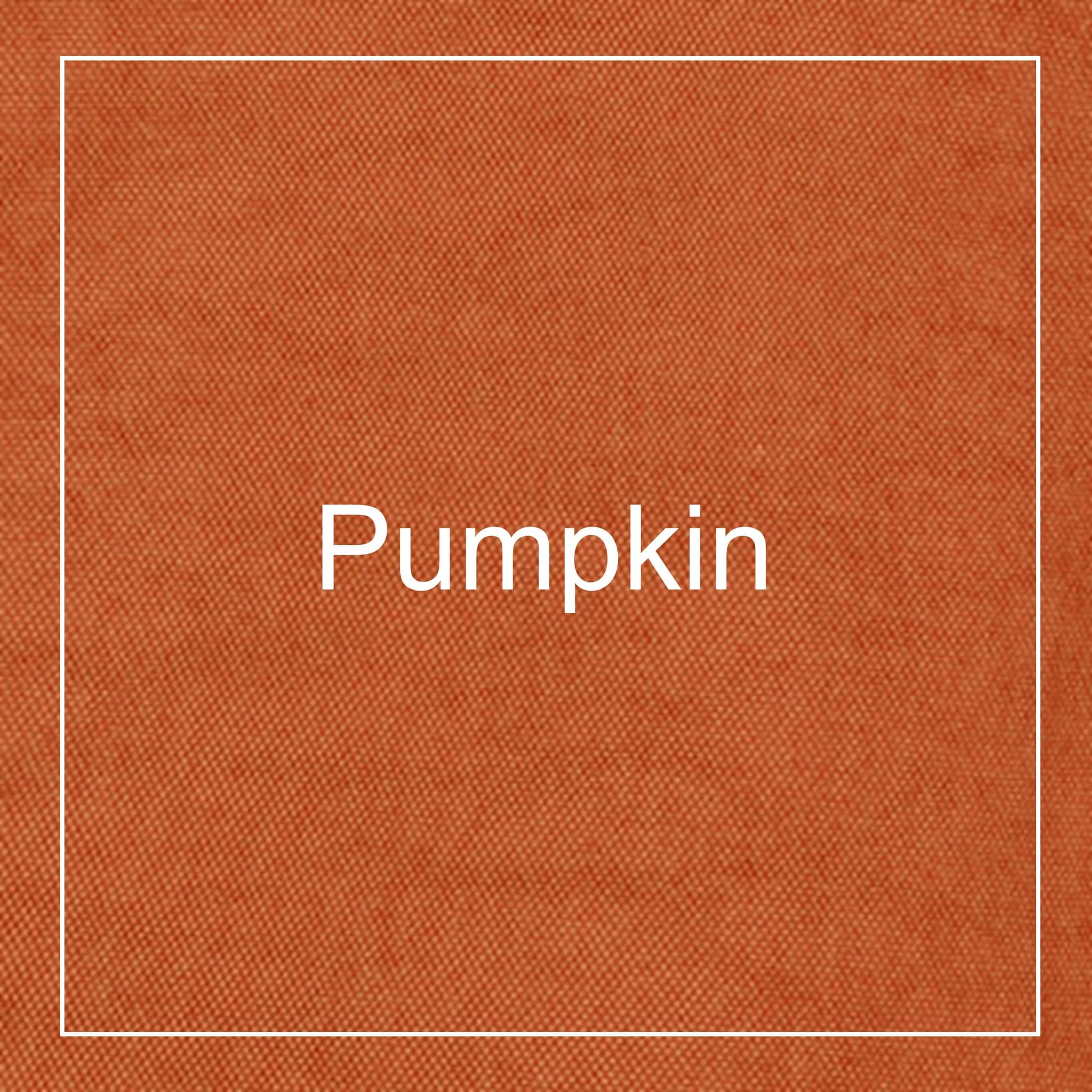 ヘルシーバックバッグ S テクスチャードナイロン パンプキン 生地