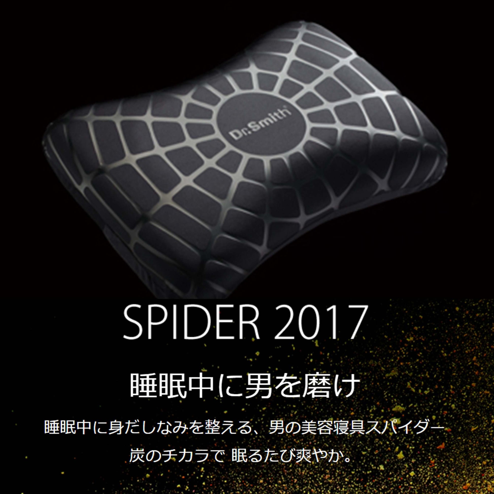 スパイダー専用ピロケース｜Dr.Smith SPIDER 替えカバー〈洗濯OK〉の画像。ラウンジクッションウォッシャブル。