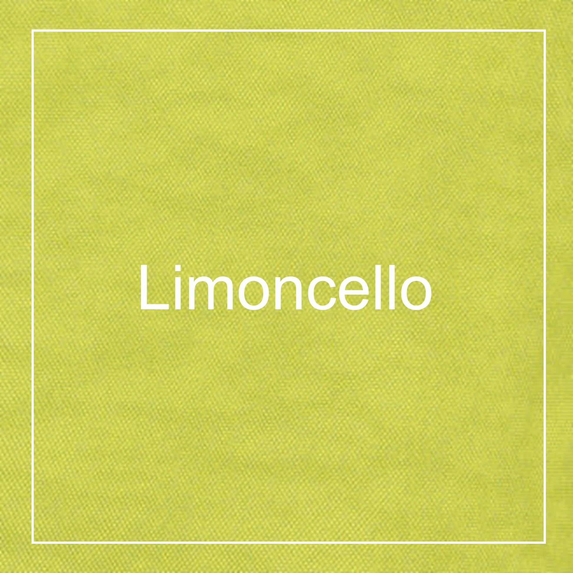 ヘルシーバックバッグ S テクスチャードナイロン リモンチェッロ 生地