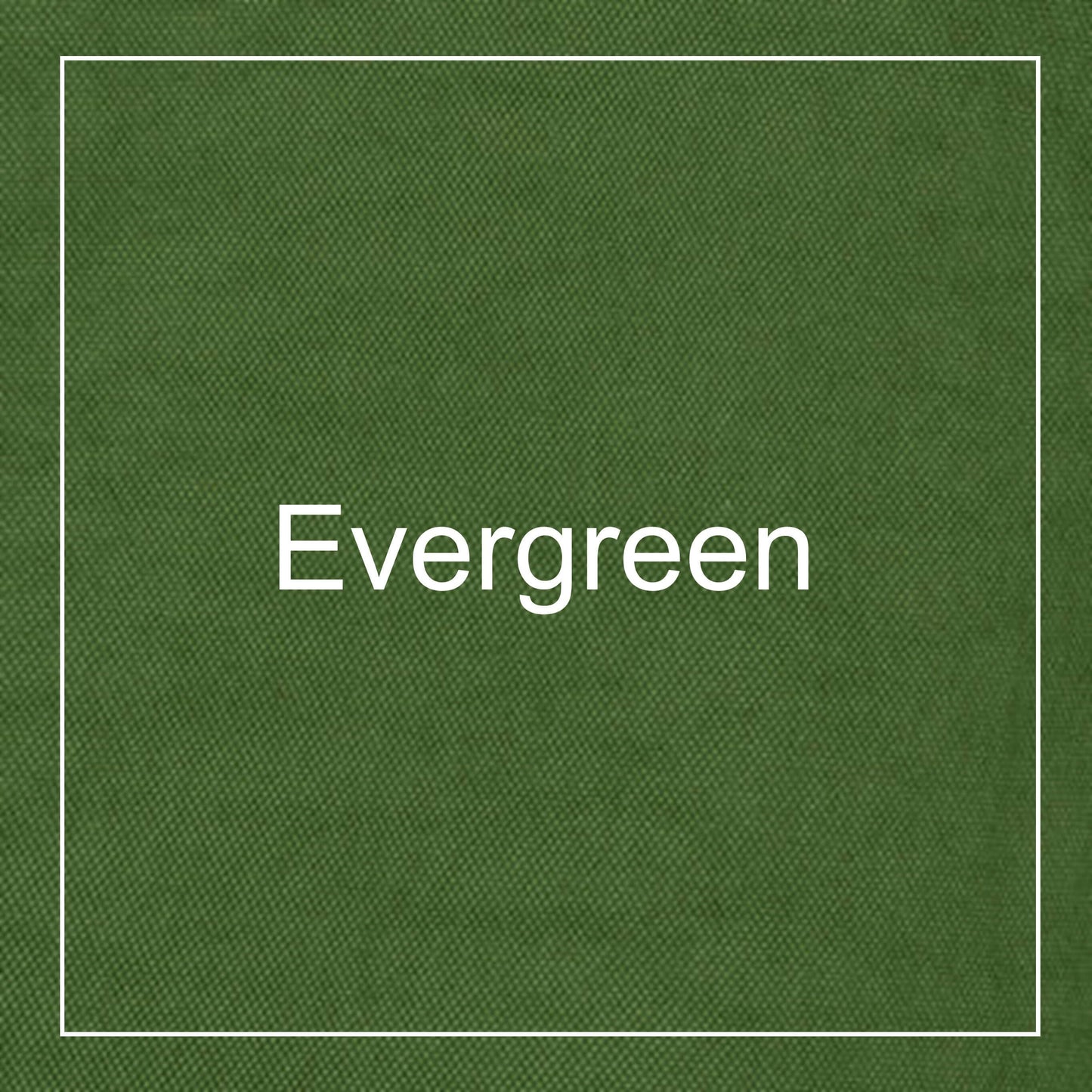 ヘルシーバックバッグ S テクスチャードナイロン エバーグリーン 生地